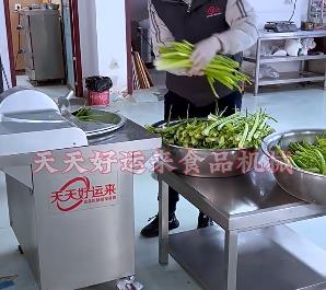 為什么選擇天天好運來斬拌機，它的特點有哪些你不知道的？